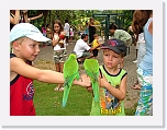 Bird Feeding (3) * 1024 x 768 * (160KB)